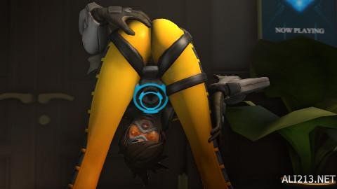 颁奖典礼的 颁奖典礼的