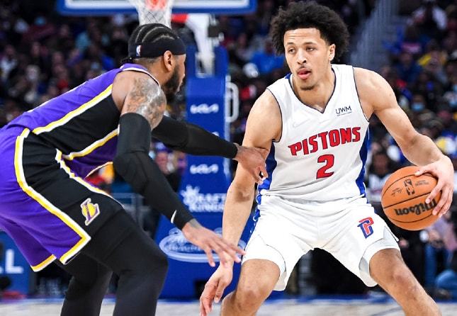 丰富多样的 丰富多样的