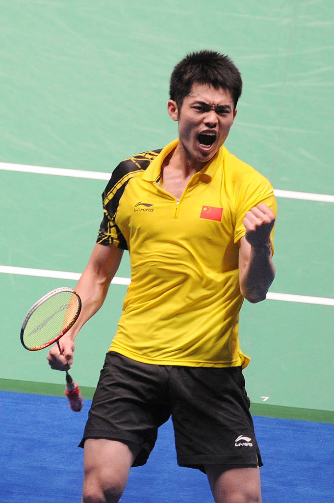 的英超球队 的英超球队