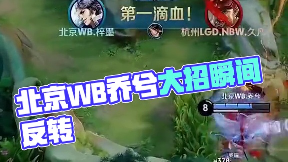 切尔西的胜 切尔西的胜