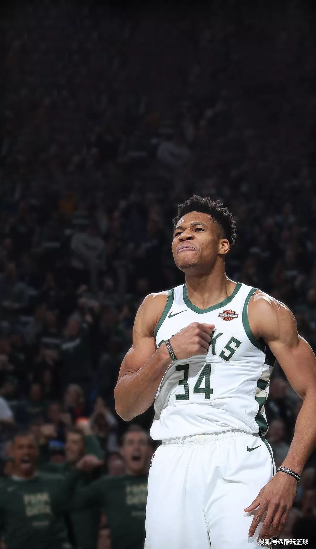 讲清楚的桥 讲清楚的桥