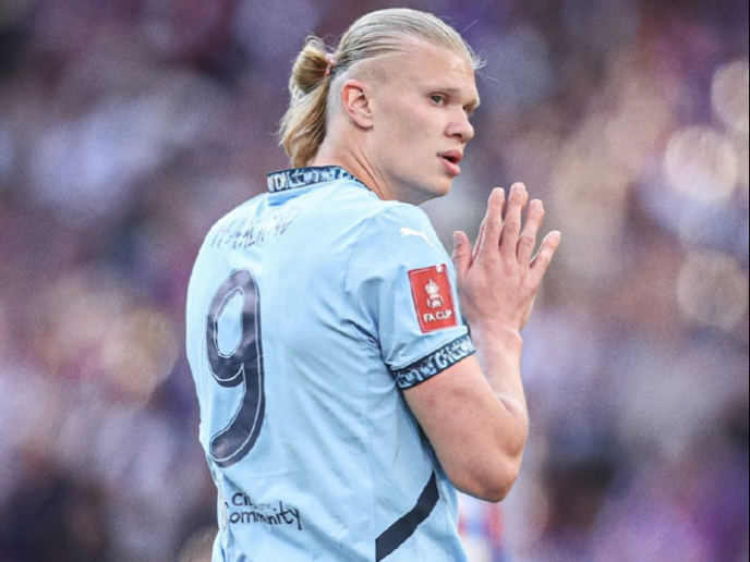 限或仅以替 限或仅以替